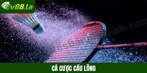 Cá cược cầu lông