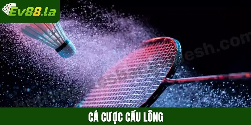 Cá cược cầu lông
