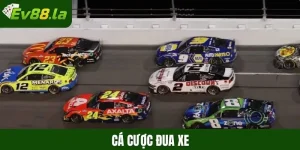 Cá cược đua xe