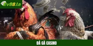 Đá gà Casino